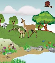 View Resource Interactions In Ecosystems Ecosystems Ecosystems Projects Animal Adaptations