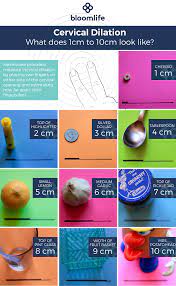 One finger means that you are about a center in dilation. Cervical Dilation 50 Of The Time It S 100 Right By Eva Martin Md Preg U