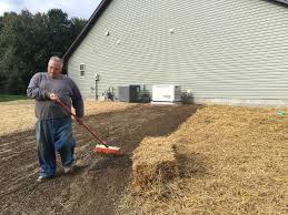 The seeds will need sunlight, oxygen, moisture and the correct temperature to grow, as long as there's also soil that it can absorb the appropriate nutrients and moisture from. Preparing A Lawn For The Planting Of Grass Seed Mike S Backyard Nursery