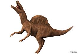 Dinosaurier skelett dinosaurier bilder jurassic world dinosaurier malvorlage dinosaurier ausmalbilder tiere dinosaurier zum ausmalen dino ausmalbilder manualidades. Spinosaurus Steckbrief Alles Uber Den Gefrassigen Dinosaurier Kribbelbunt