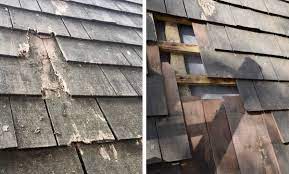 Cedar Singles #4 How To Remove And Replace Shingles – Herbidacious