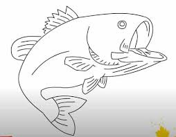 My printable wall art will brighten up your room with some cute beautiful images. How To Draw A Bass Fish Step By Step