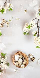 Maybe you would like to learn more about one of these? April 2020 Wallpaper