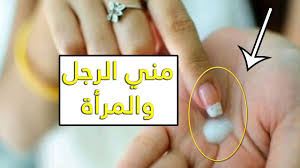 الفرق بين المني والمذي و مني الرجل و مني المرأة الفرق شرعا وحكم كل سائل منهم Youtube