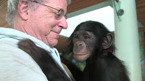 Even if you subscribe to traditional cable tv, sometimes you want to catch the news on your computer or phone. Nonhuman Rights Project Is Leading The Fight For Animal Rights Atlas Of The Future
