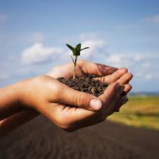 Image result for Precious Seed Christ Jesus