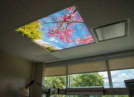 Sky Mural Thinking Pink Fluorescent Light Covers Fluorescent Gallery Ceiling Light Covers Fluorescent Light Covers Decorative Fluorescent Light Covers