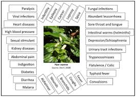 Image result for Oreosyce africana