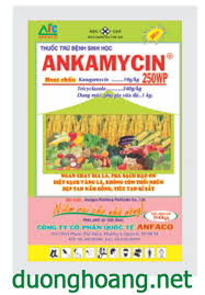 Ankamycin 250WP