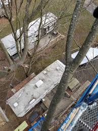Maybe you would like to learn more about one of these? T N T Tree Service Home Facebook