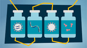 Several pharmaceutical companies have published their vaccine trial protocols. What Different Types Of Covid 19 Vaccine Are There News Wellcome