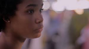 Sterile Cowboys & Co.: Archive