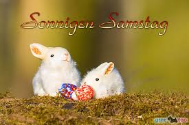 Animierte gif dienstagsgrüße schönen sonnigen dienstag gif herunterladen schönen sonnigen dienstag gif schreib weiter bilder schönen sonnigen dienstag gifherunterladen schönen…. Samstag Whatsapp Bilder 1gb Pics