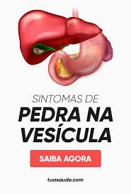 6 sintomas comuns de pedra na vesicula pedra na vesicula dor nos rins remedio para dor