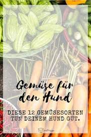 12 Energie Gemuse Fur Deinen Vierbeiner Midoggy Community Hunde Ernahrung Hundefutter Hundeernahrung
