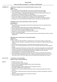 child care manager resume samples