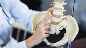 Bone marrow cancer bone marrow cancer is defined as the cancerous growth of cell or malignant cells which develop in the blood forming cells of the bone marrow which is the soft tissue in the center of the bones in the body. Bone Marrow Cancer Symptoms My Bone Marrow Cancer