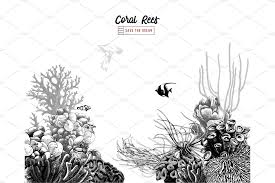Black And White Sea Anemone Coral Reef Coral Reef Drawing Coral Reef Black And White Background