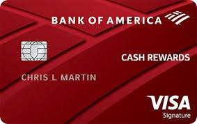 Personal and business travel credit cards give out the highest bonus values. Bank Of America Cash Rewards Credit Card Review Forbes Advisor