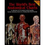Worlds Best Anatomical Charts A Collection Of 37 Medical