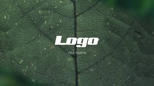Download and use free motion graphics templates in your next video editing project with no. Logo Photo Intro Premiere Pro Templates Motion Array
