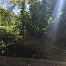 To End This Gloomy Sunday With A Ray Of Sunlight I Share This Shot I Took With My Iphone In Paris T Natural Landmarks Instagram Instagram Photo