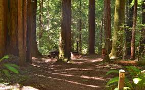 Van damme state park van damme state park consists of about 1,831 acres of land in mendocino county, california, near the town of little river on state route 1. 12 Top Rated Things To Do In Mendocino Ca Planetware
