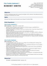 We did not find results for: City Carrier Assistant Resume Samples Qwikresume