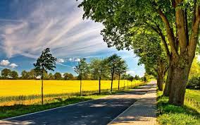 Check spelling or type a new query. Images Of Beautiful Summer Nature 100 Photos For Your Desktop
