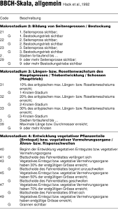 Und wie sieht es mit den anderen nutzpflanzen aus? Entwicklungsstadien Mono Und Dikotyler Pflanzen Pdf Free Download