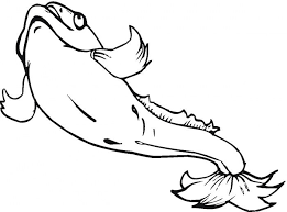 Carp Coloring Pages Catfish 20 Coloring Page Super Coloring Coloring Pages Free Printable Coloring Pages Printable Coloring Pages