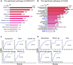 Orange represents kidney cancer and leukemia. The Significant Pathways And The Enrichment Curves For Colorectal Download Scientific Diagram