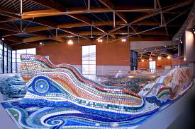 Centre Aquatique De L Amandinois Tollis