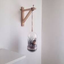 Pick Of The Week Ficus Jars Terrarium Homefeat Creatief