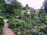 Low Maintenance Cottage Garden Ideas