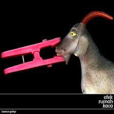 Cari produk kaos pria lainnya di tokopedia. Kamar Gelap Wikipedia