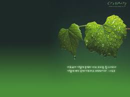Bible verses about love john. Verses Wallpapers Group 71