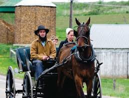 Image result for amish