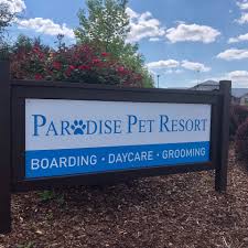 Where every day is paradise for you and your pet. Paradise Pet Resort Home Facebook