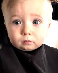 Curious toddler has his first haircut 💇‍♂️