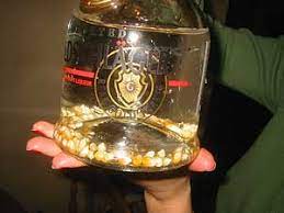 Goldschläger is a swiss clear cinnamon schnapps liqueur with 24k gold leaf flakes. How Much Gold Is Inside A Bottle Of Goldschlager