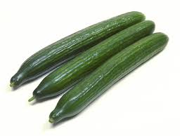 When they finally touch the edge of the trellis, take out the developing part at the top. 10 Different Types Of Cucumbers With Images Asian Recipe