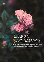 Nader Dawah Quran Quotes Inspirational Quran Quotes Love Quran Quotes Verses