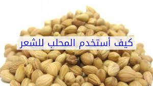 كيف أستخدم المحلب للشعر Youtube