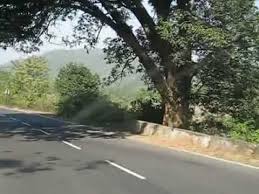 Deoghar To Rajgir Road Side Views By Amit Dutta Banpur