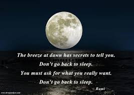 Don T Go Back To Sleep Told You So Spirituality Energy Moon Quotes