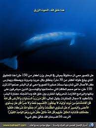 pin on الأعجاز العلمي في القرأن الكريم