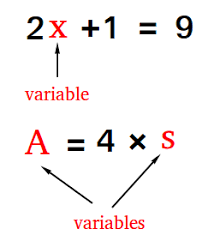 Definition Of Variable And Examples Math Examples Variables Definitions