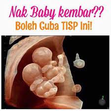 Cara alami untuk mengusahakan kehamilan kembar: Cempedak Cheese Tips Dapatkan Baby Kembar Banyakkan Facebook