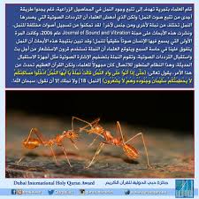 صور من الإعجاز العلمي في القرآن والسنة 41 50